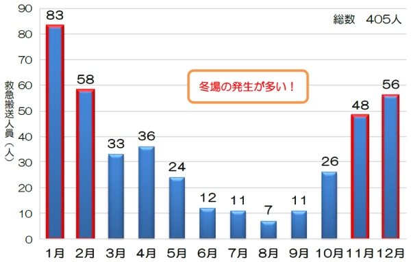 救急搬送データからみる高齢者の事故　東京消防庁（https://www.tfd.metro.tokyo.lg.jp/lfe/nichijo/kkhansoudeta.html）より引用